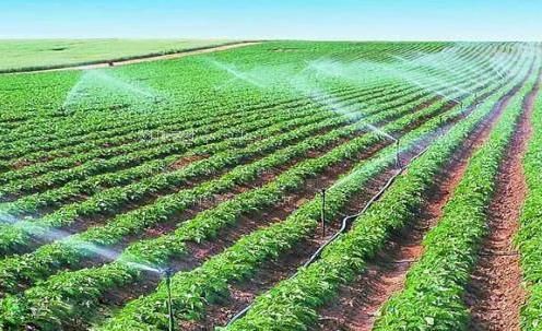 小逼逼多多农田高 效节水灌溉